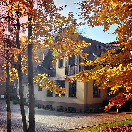 Hotel Willa Strzelnica Kościerzyna Exteriér fotografie